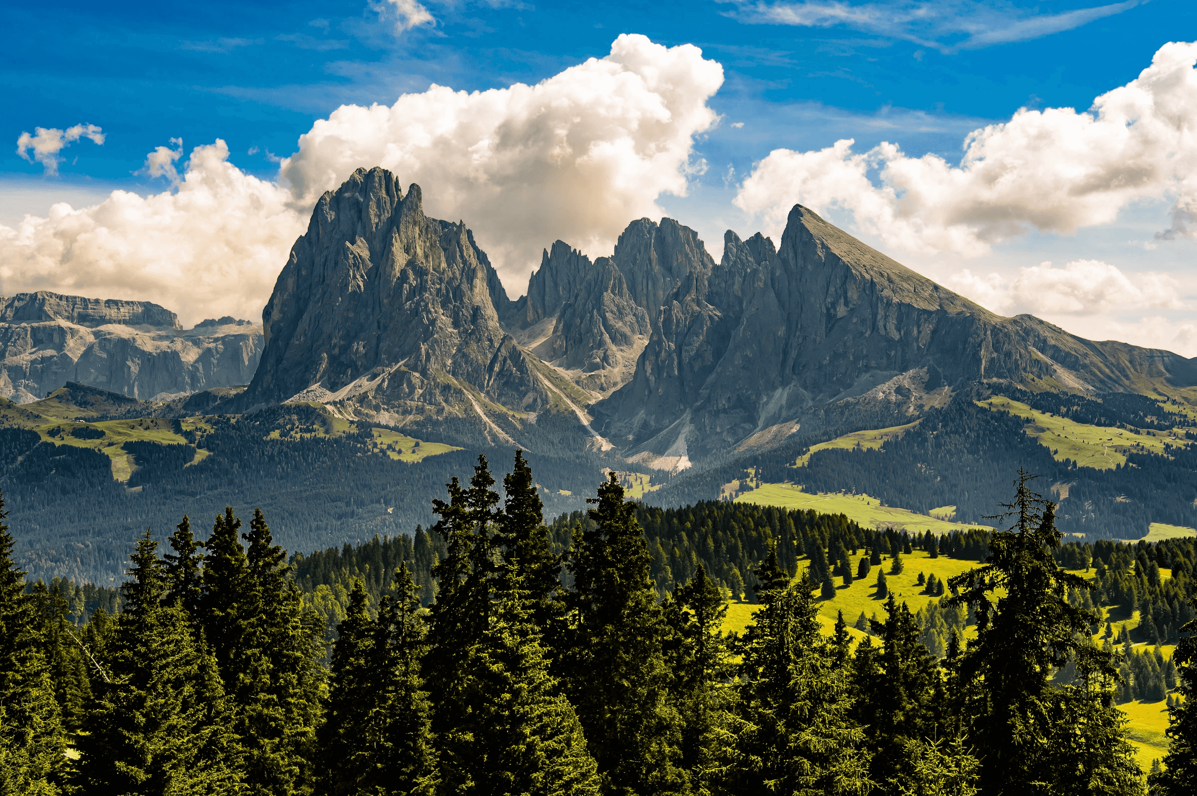 Color photograph of the jagged peaks of the Langkofel/Sassolungo mountain group in the Dolomites, Italy, rising above green meadows and pine forests under a blue sky with clouds.