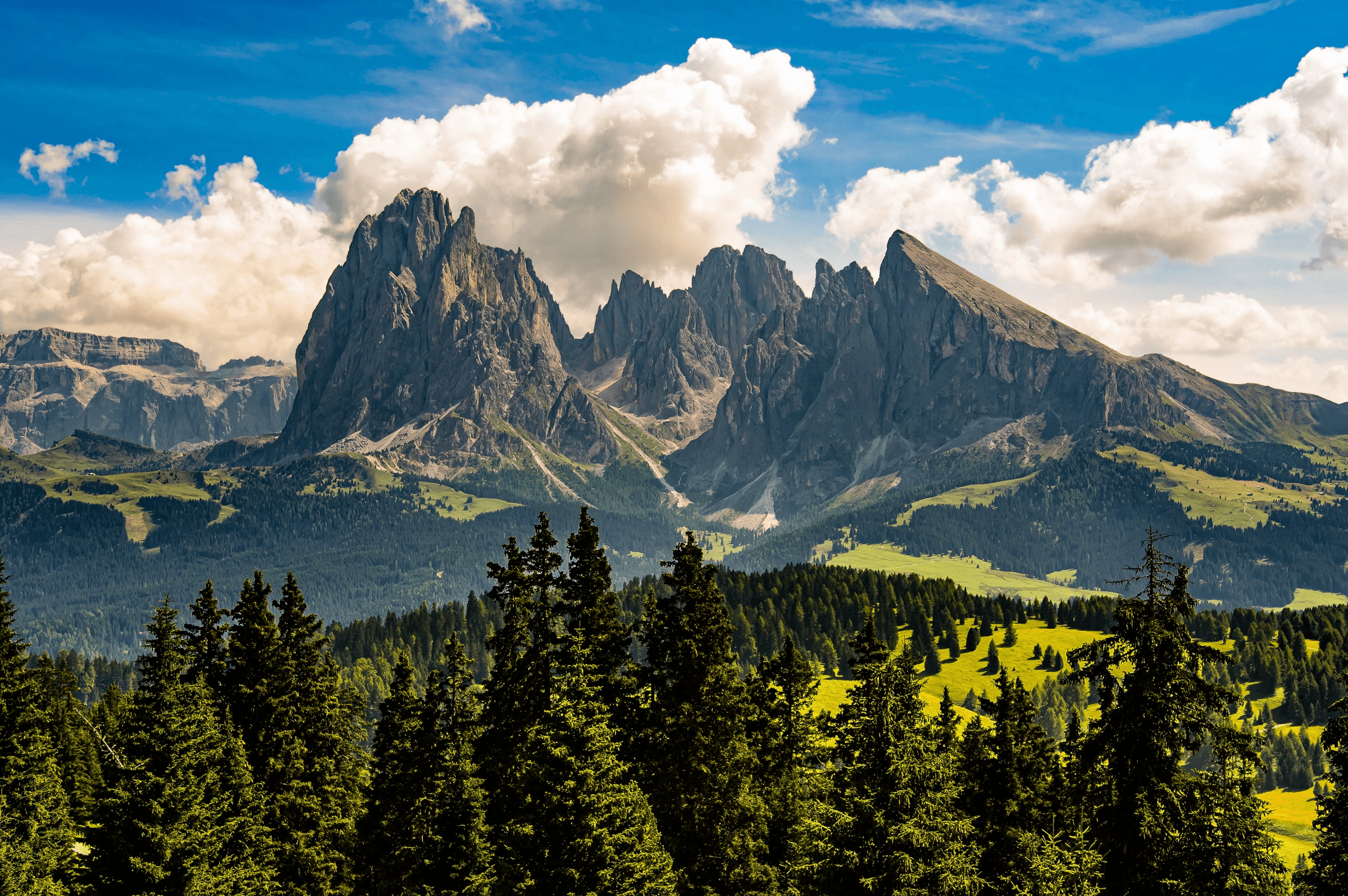 Color photograph of the jagged peaks of the Langkofel/Sassolungo mountain group in the Dolomites, Italy, rising above green meadows and pine forests under a blue sky with clouds.
