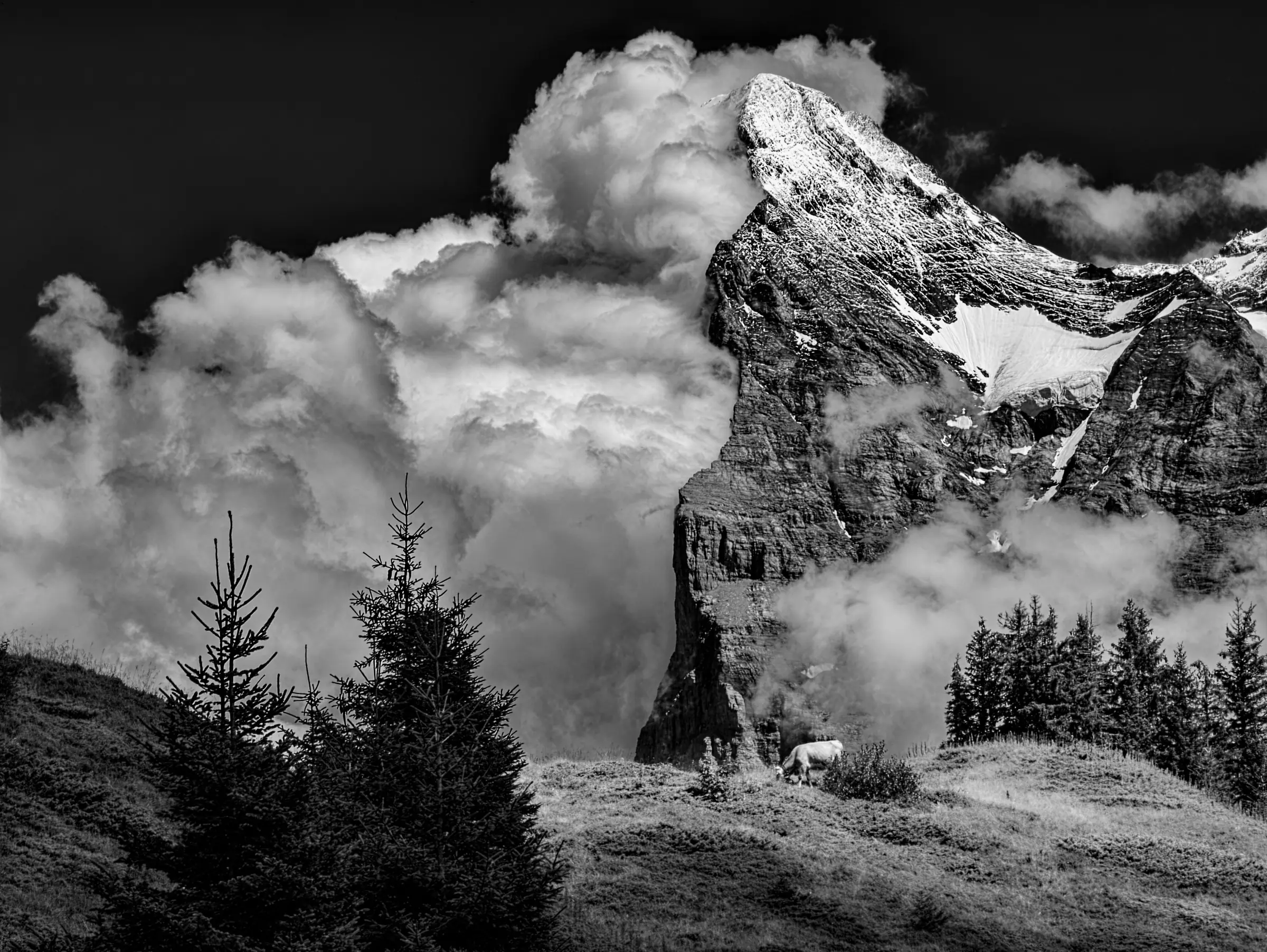 Dramatic black and white landscape photograph of the Eiger mountain in the Swiss Alps.