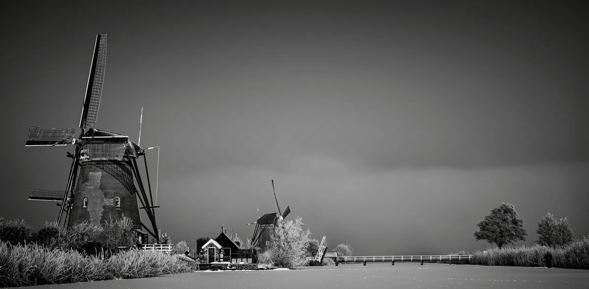 Windmills in Mist in Kinderdijk in monochrome.