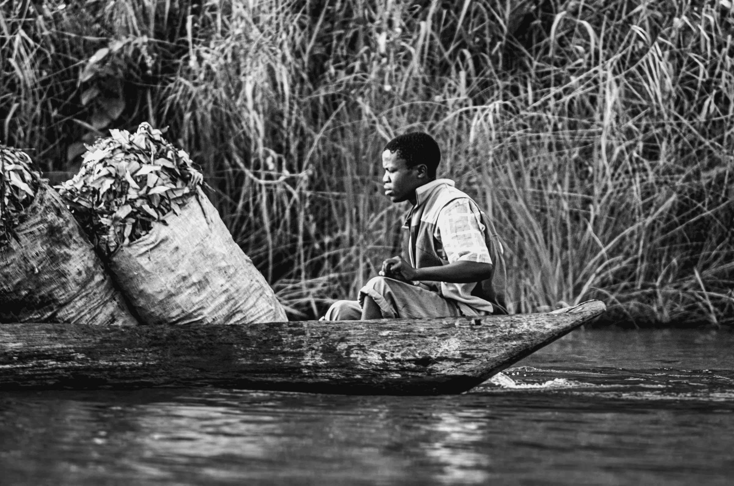 Tea Transporter on Lake Bunyonyi Tea Transporter Profile in Lake Bunyonyi.