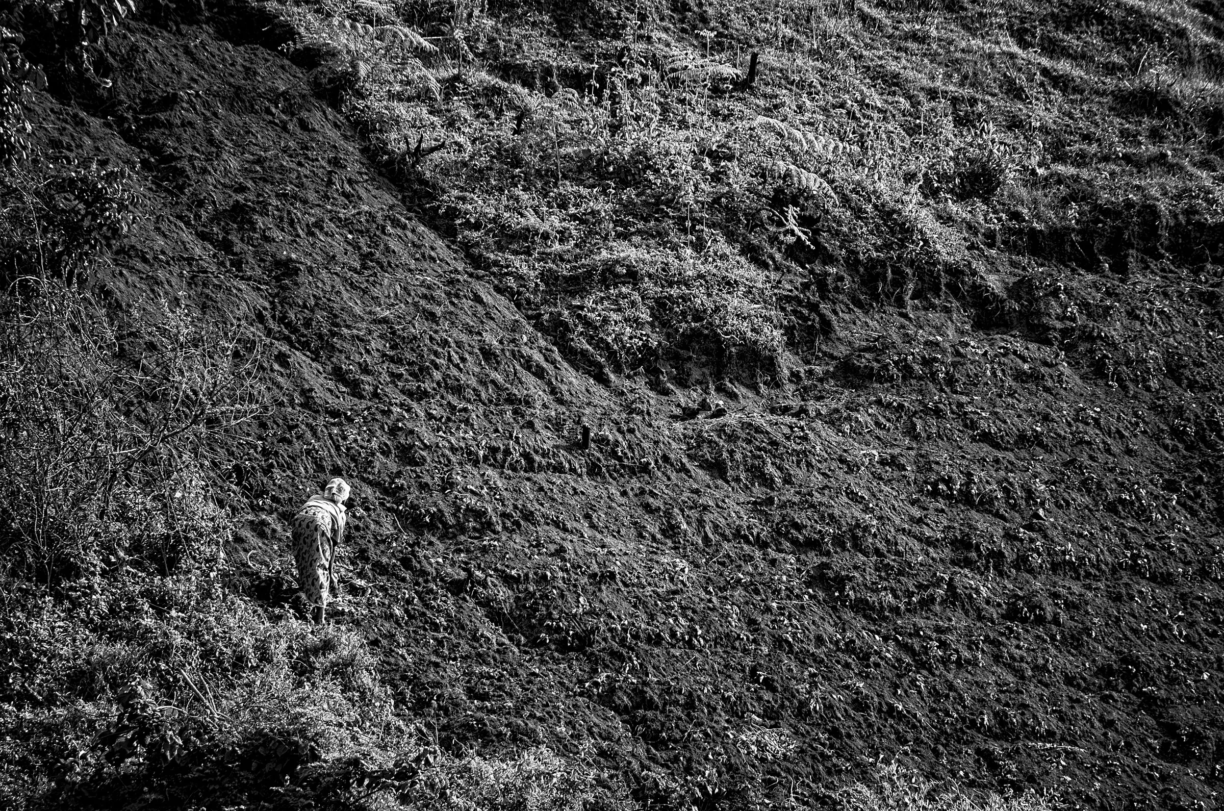 Working the Steep Slopes in Lake Bunyonyi in daily life in monochrome.