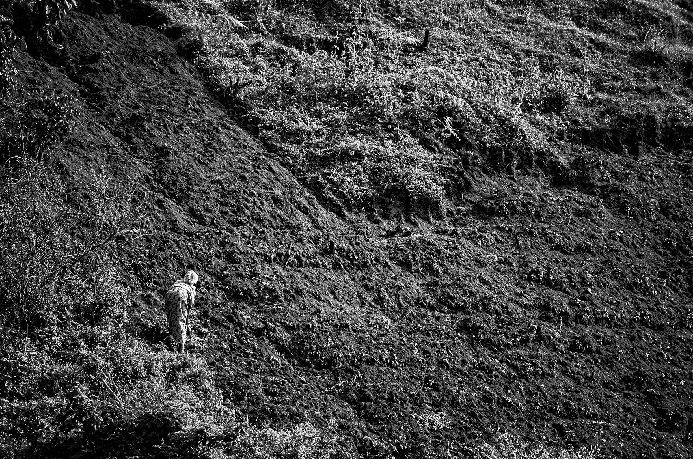 Black and white photograph of a person walking up a steep, textured, terraced hillside, likely carrying produce or tools, near Lake Bunyonyi, Uganda.
