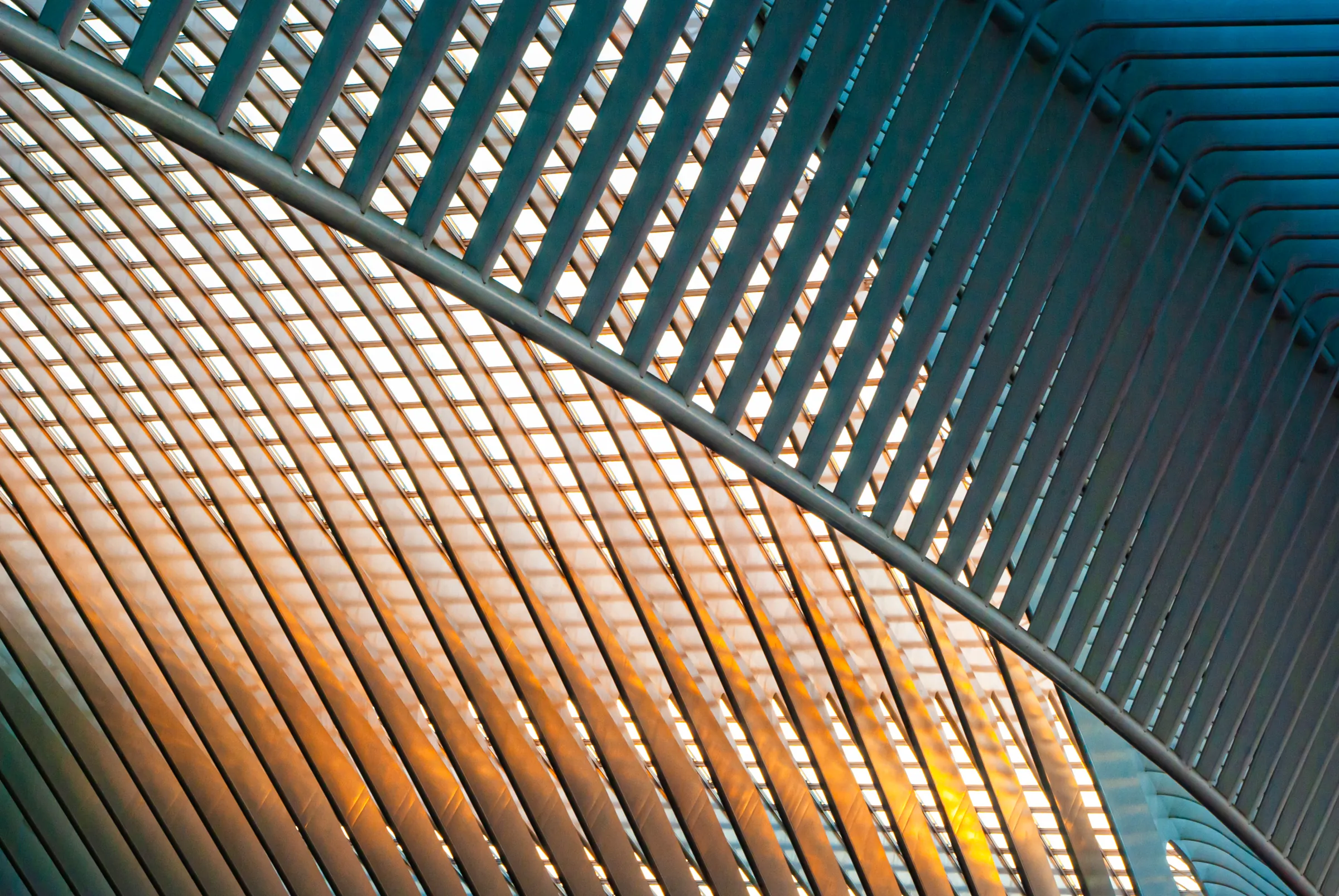 Calatrava s Canopy Liège Station as an abstract study in Liège-Guillemins Station.