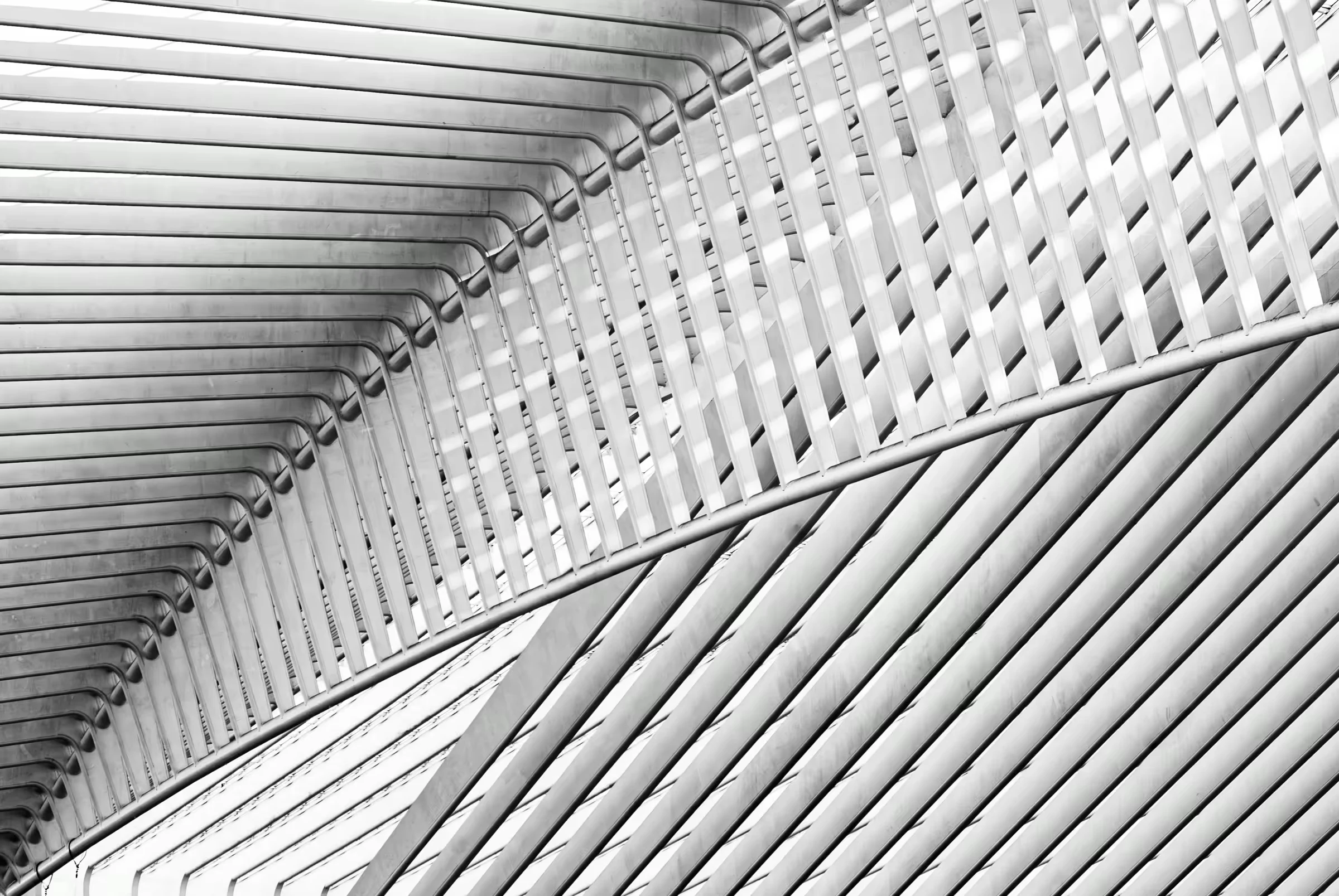 Luik Lines in Liège in monochrome.