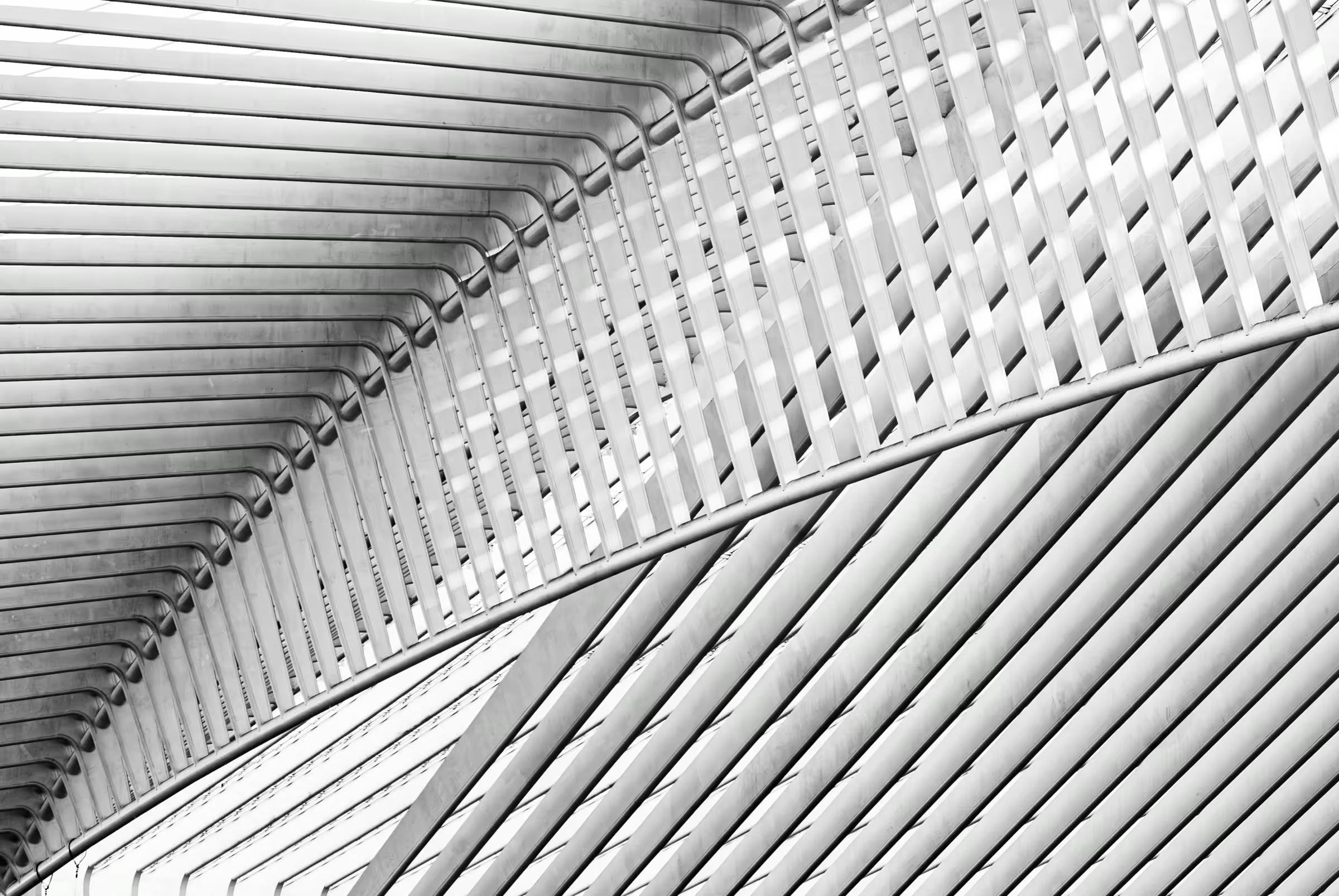 Luik Lines in Liège in monochrome.