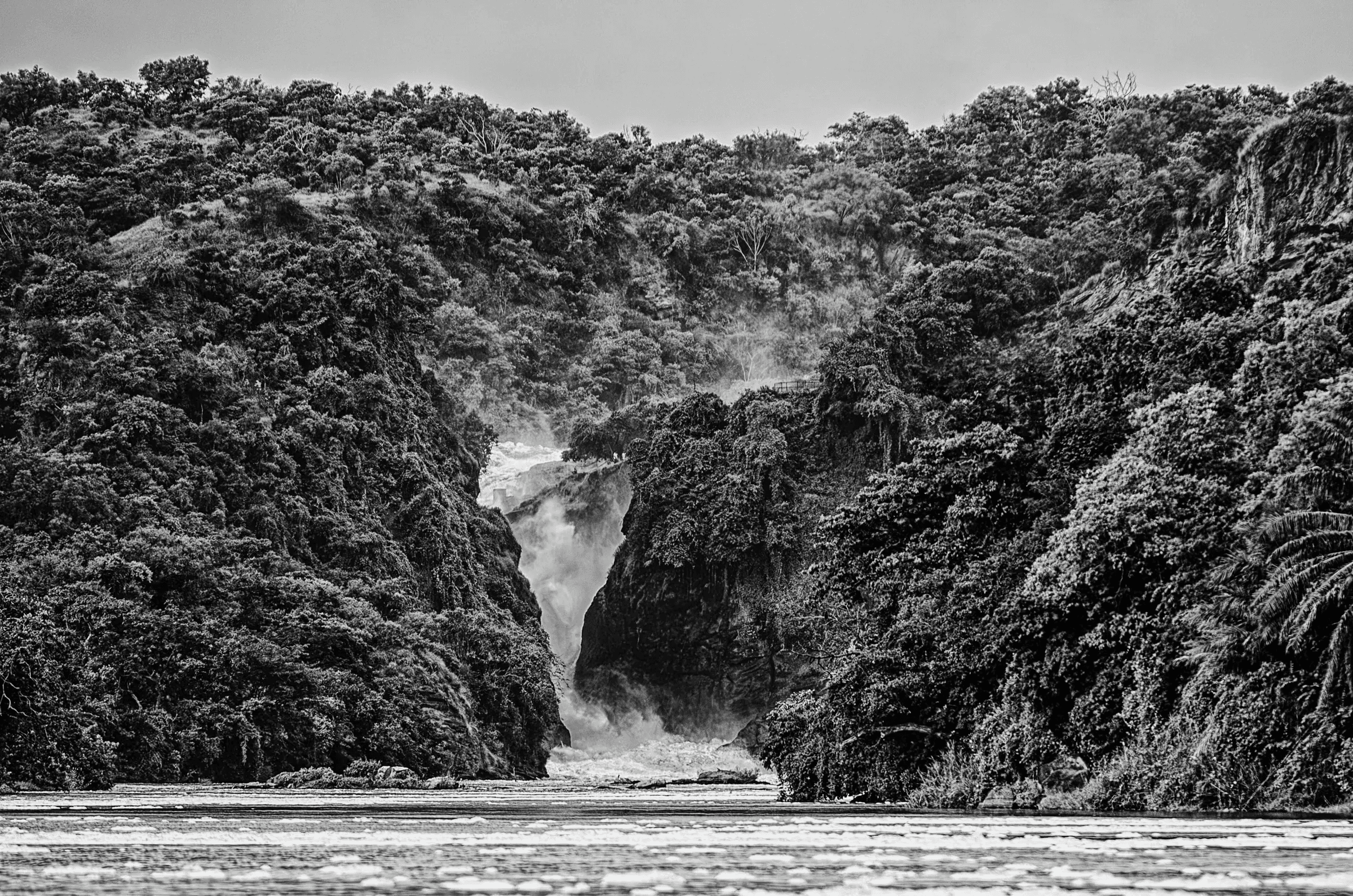 Where the Nile Roars: Murchison Gorge Powerful Murchison Falls surging through a narrow gorge in Uganda, surrounded by lush vegetation.