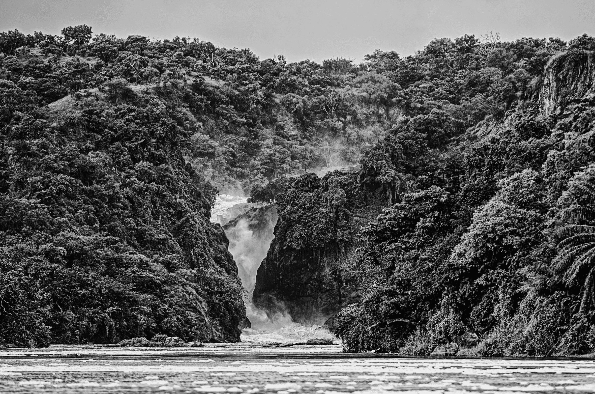 Black and white landscape photograph of the powerful Murchison Falls surging through a narrow gorge in Uganda, surrounded by lush vegetation.