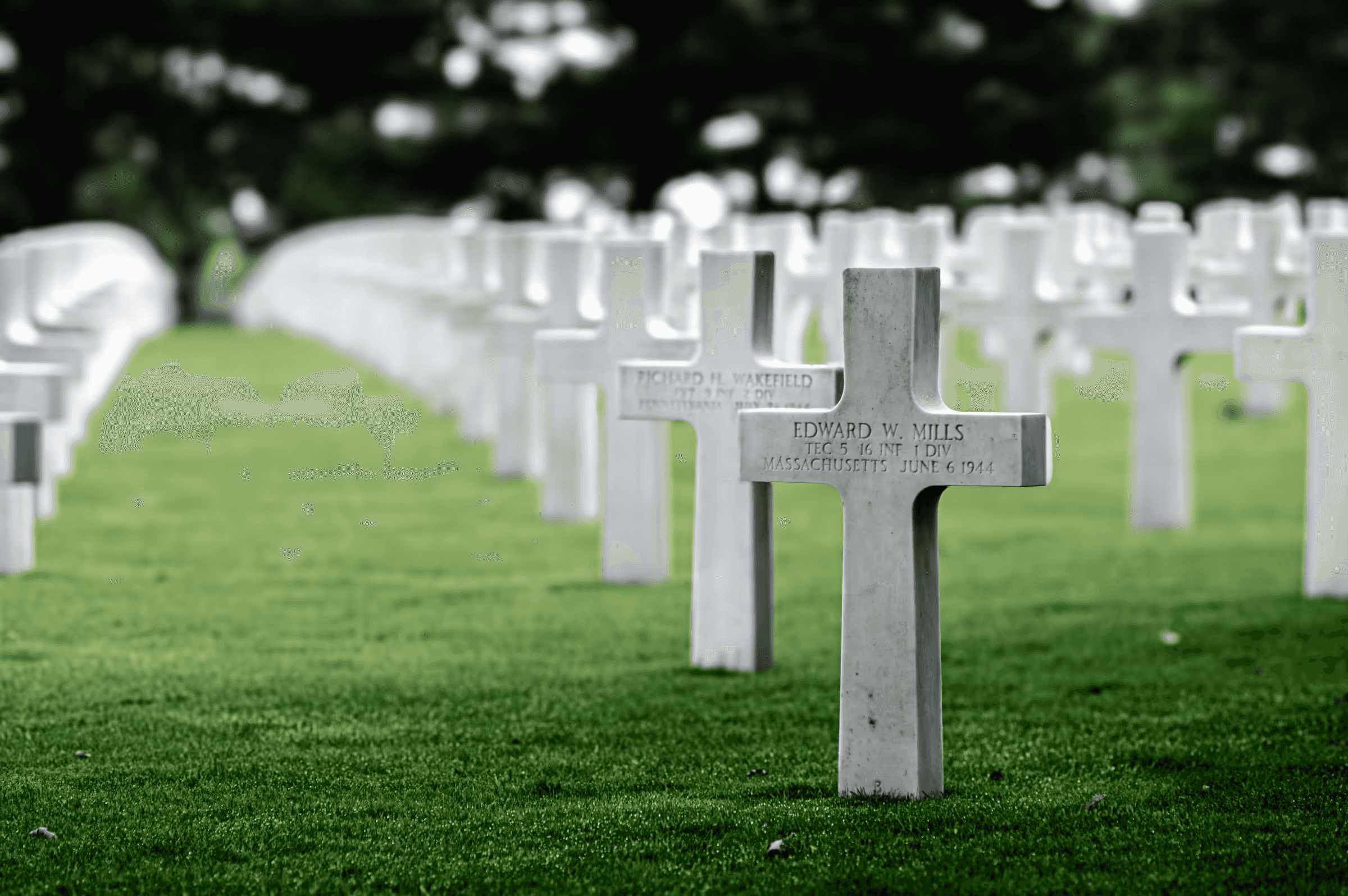 Rows of Remembrance Normandy American Cemetery and Memorial in Colleville-sur-Mer, France.