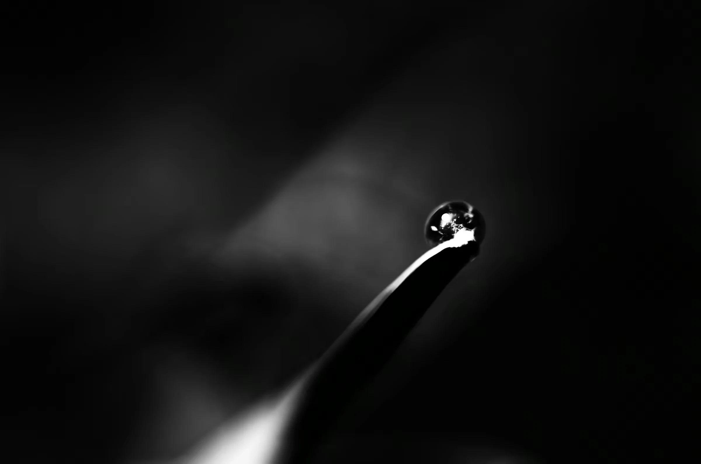 Pearl On A Leaf as an abstract study in monochrome.