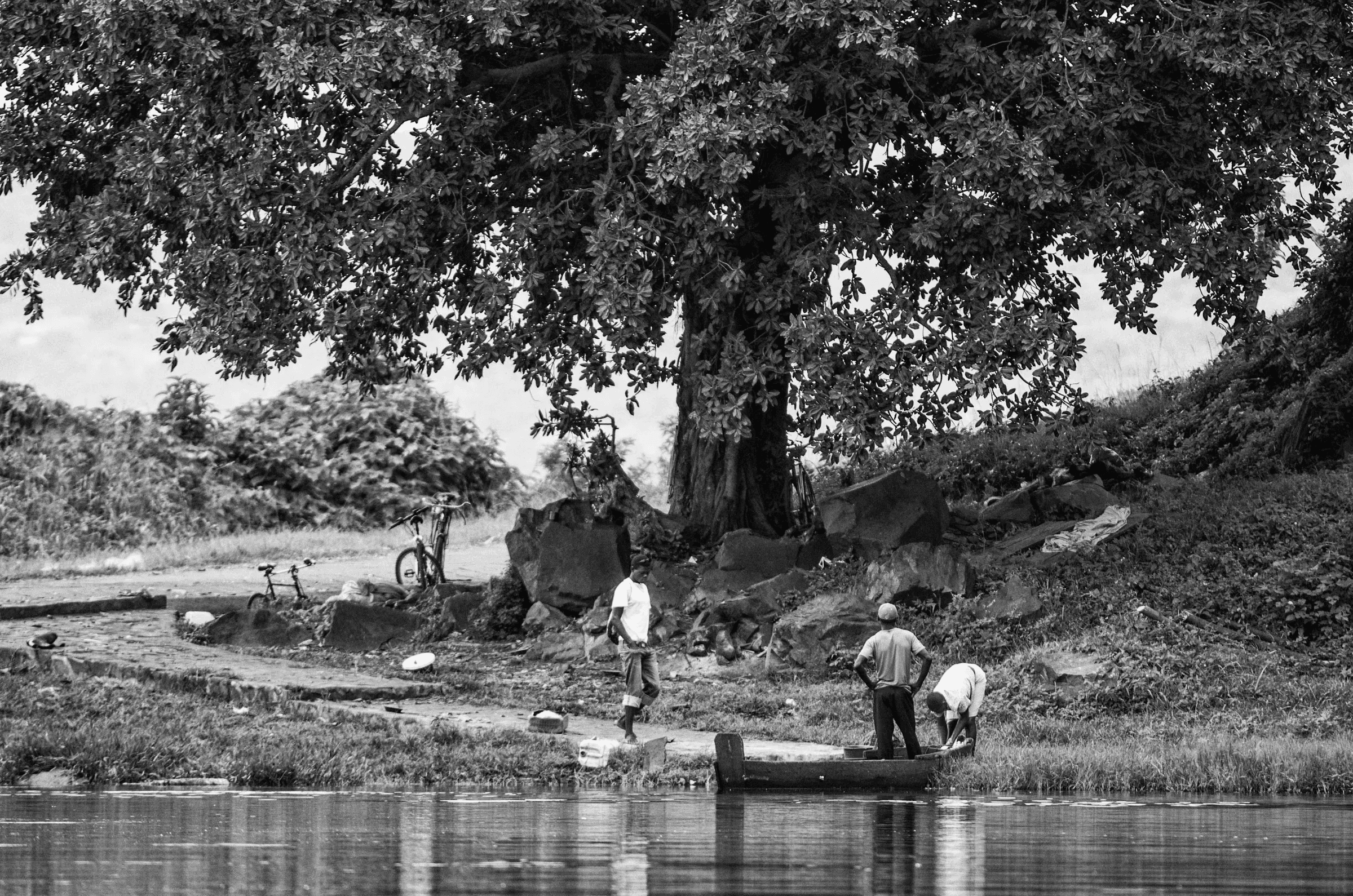 Click to view in fullscreen Several men working with a simple boat or canoe on a riverbank under a large tree.