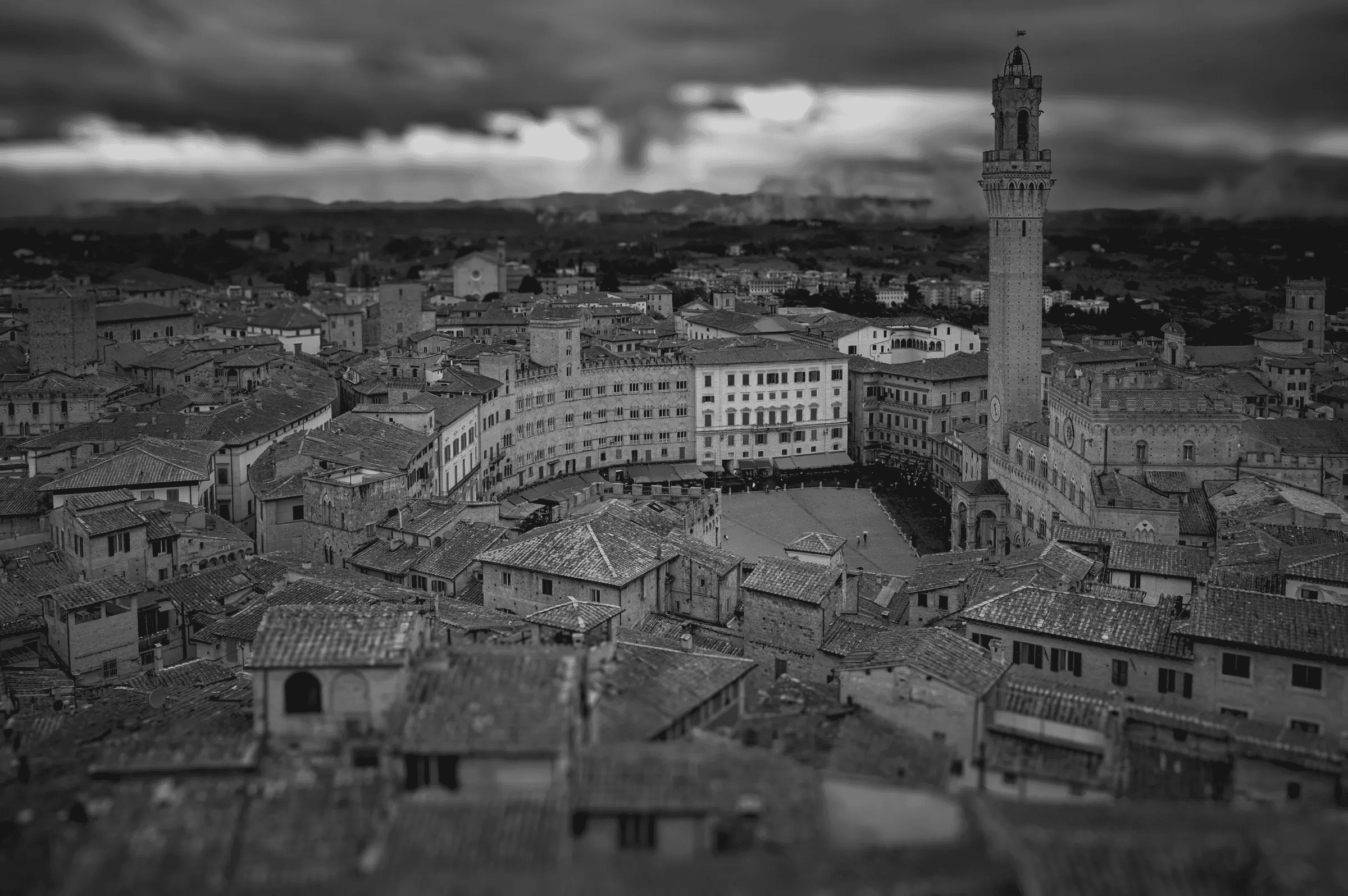 Piazza del Campo from Above (B&W) Piazza Del Campo Overview in Siena.