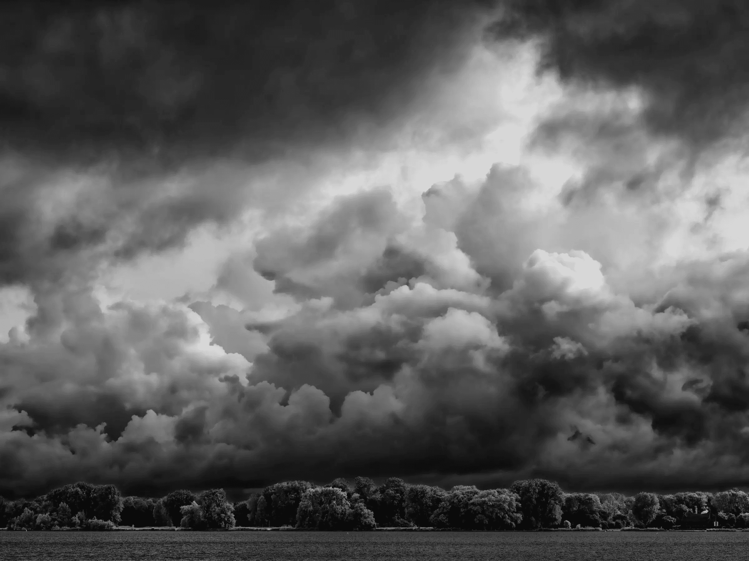 Dramatic black and white landscape photograph from Kralingse Plas, Rotterdam.