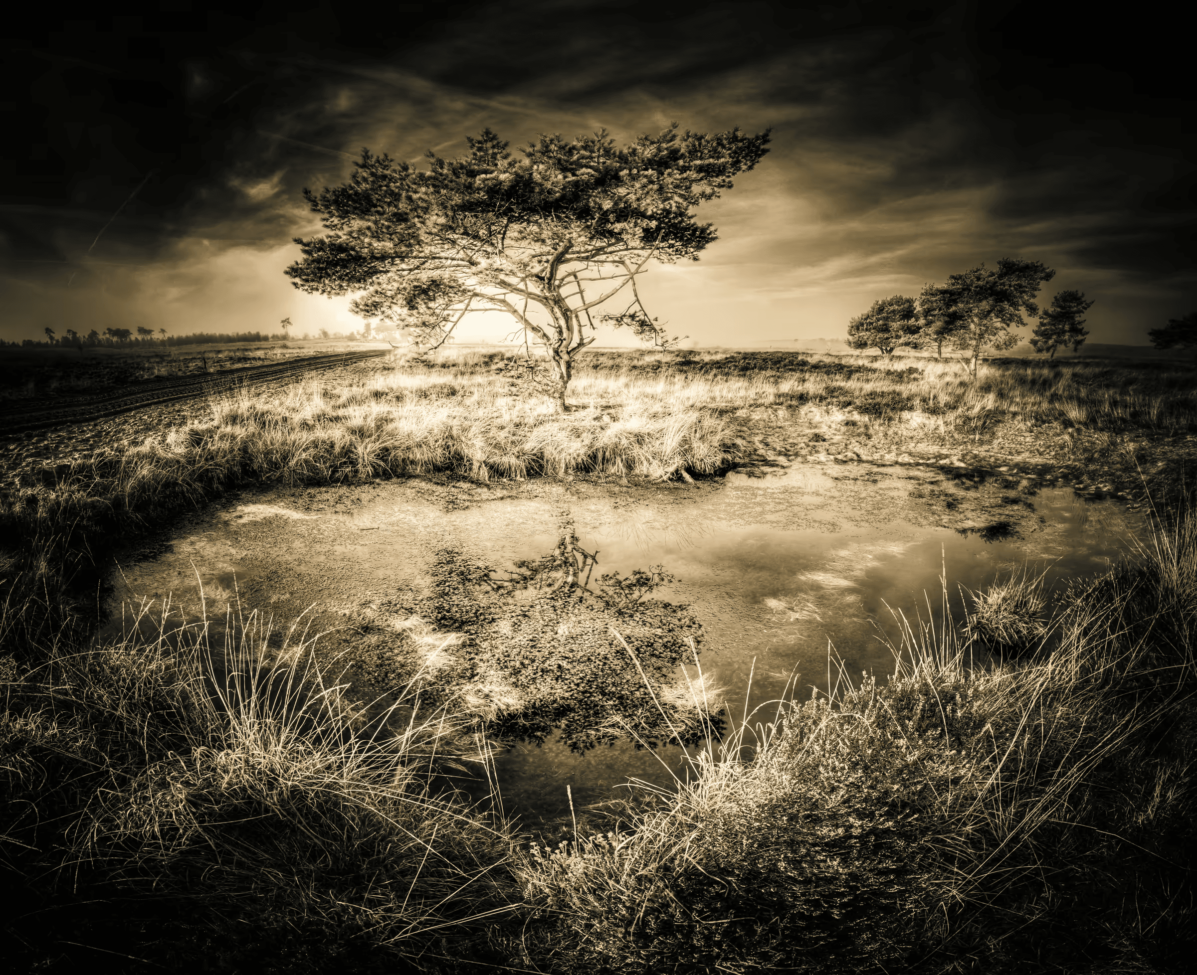 Monochrome landscape photograph featuring a solitary tree and its reflection in still water. The tree and its mirror image dominate the scene, set against a dramatic, cloudy sky rendered in shades of grey.
