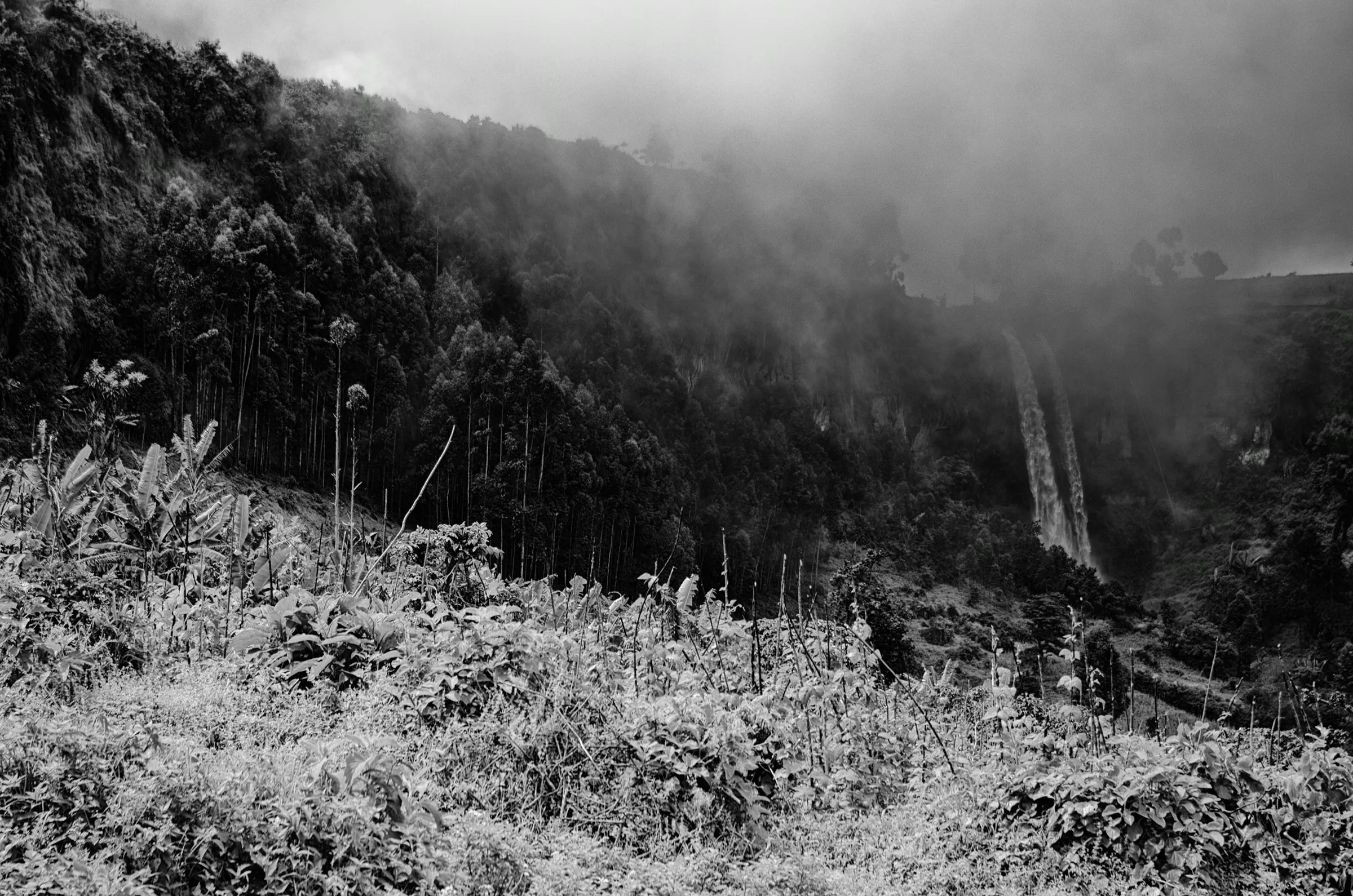Misty Waterfall in Uganda in monochrome.