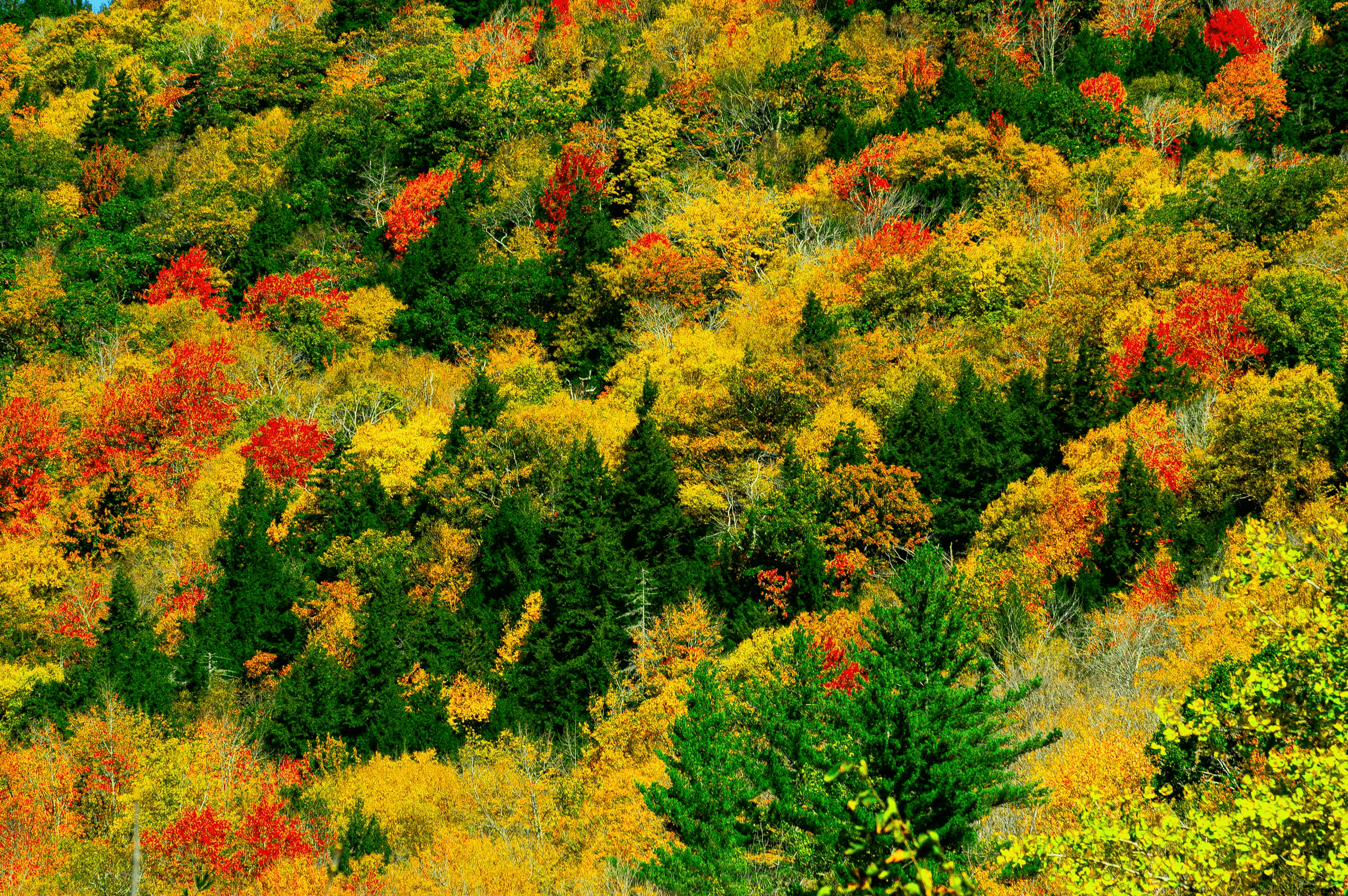 Aerial landscape photograph of Vermont in autumn.