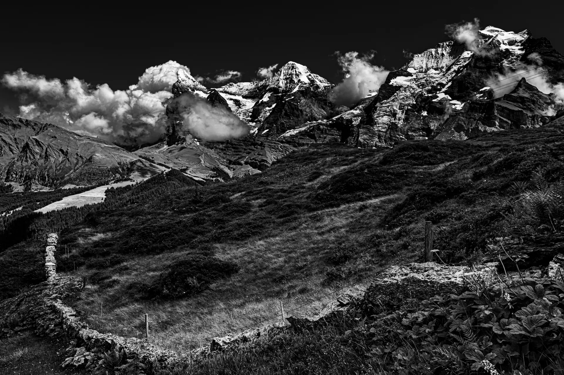 Alpine Vista Stone Wall Swiss Giants in Wengen.